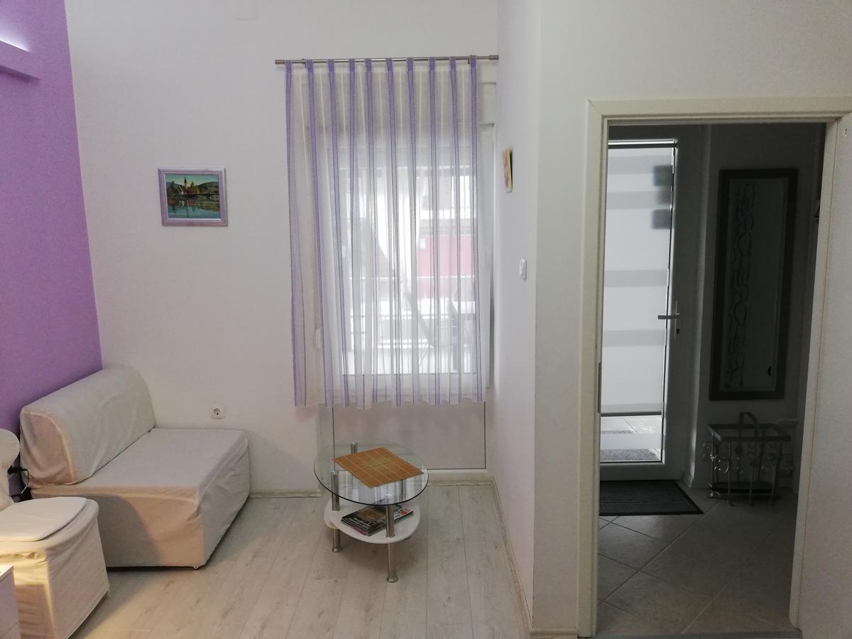 Apartments Krapinske Toplice Krtak Biba Екстериор снимка